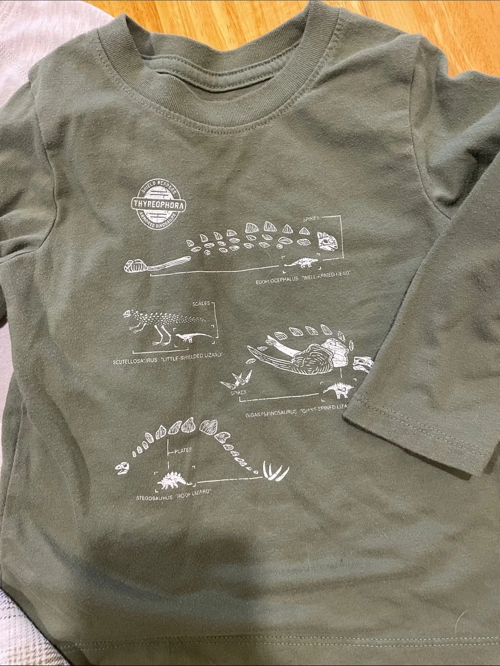 The Children's Place Olive Green & Navy Casual Outfit with Plaid Shirt